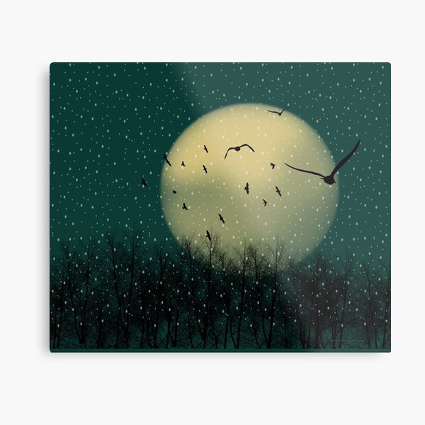 Winter night Metal Print