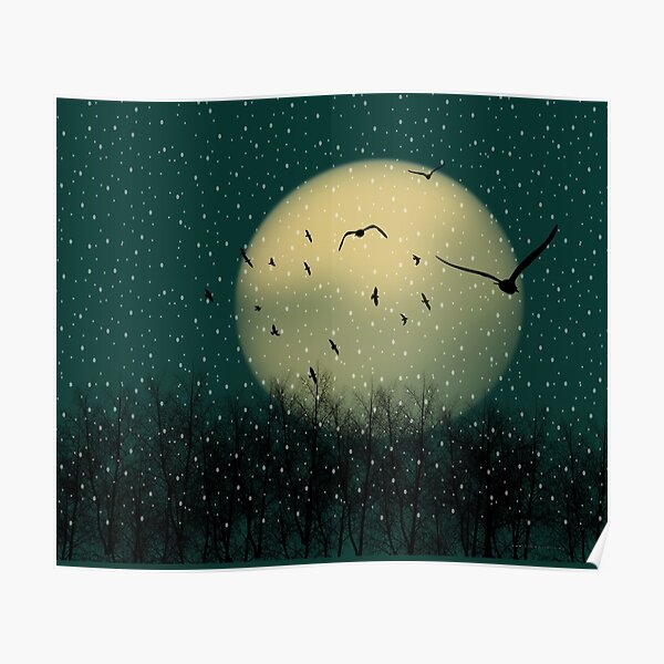 Winter night Poster