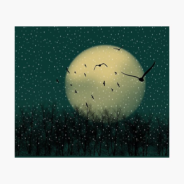 Winter night Photographic Print