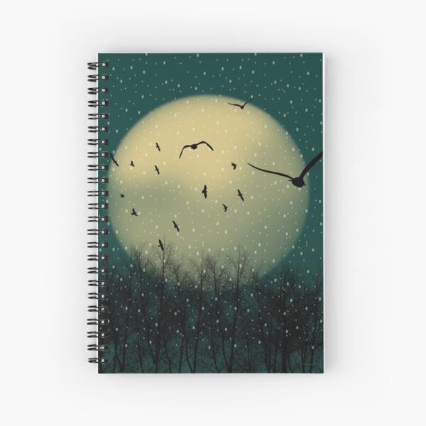 Winter night Spiral Notebook