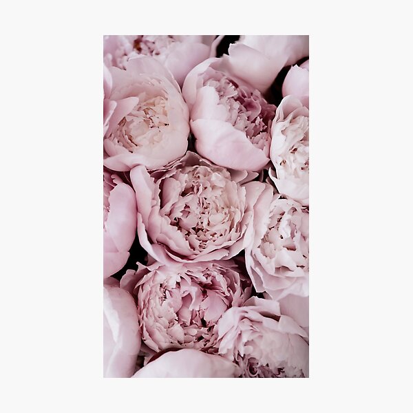 Item preview, Princess Peony - Soft Pink Peonies Floral Design designed and sold by Laura Dawson.