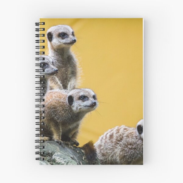Item preview, Meerkats on the look out designed and sold by wellsie82.