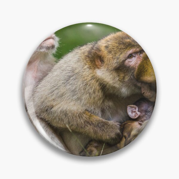 Item preview, A family of Barbary macaques designed and sold by wellsie82.