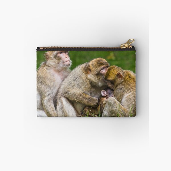 Item preview, A family of Barbary macaques designed and sold by wellsie82.