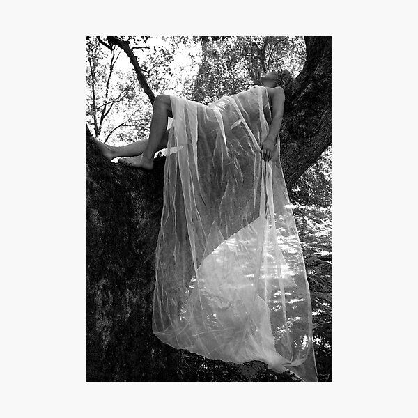 Artikelvorschau, White Veil No.2 entworfen und verkauft von moontreedavid.