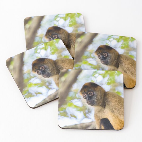 Item preview, Spider monkey in a tree designed and sold by wellsie82.