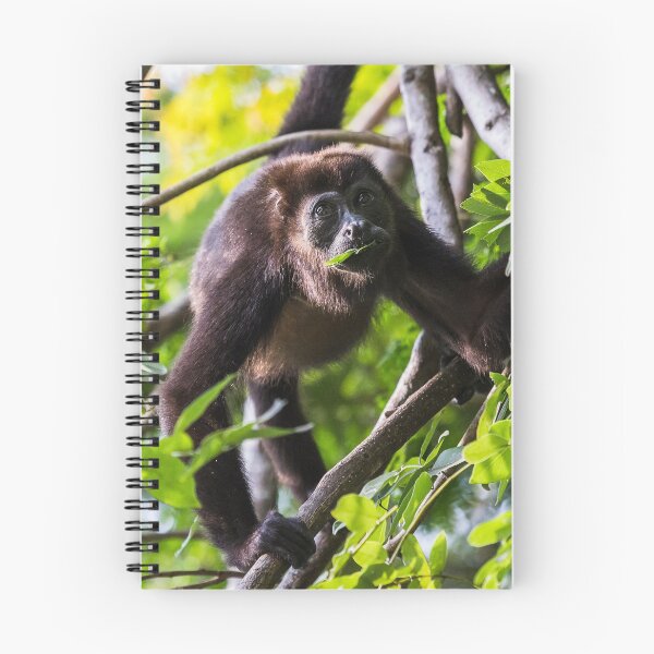 Item preview, Howler monkey enjoying a few leaves designed and sold by wellsie82.
