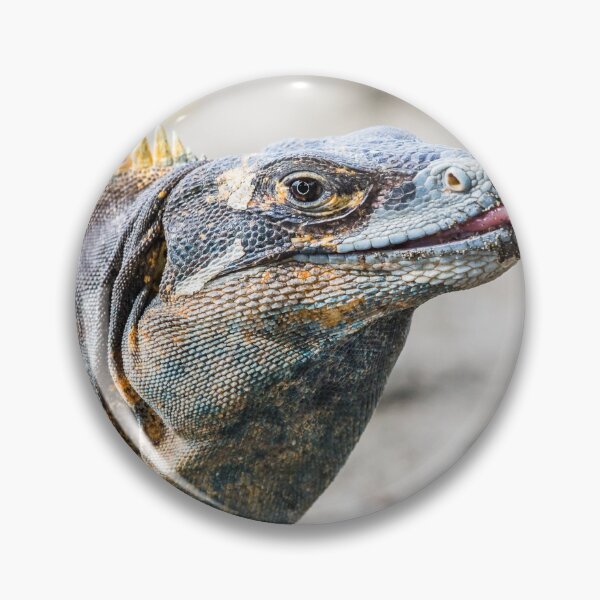 Item preview, Black iguana with its tongue out designed and sold by wellsie82.