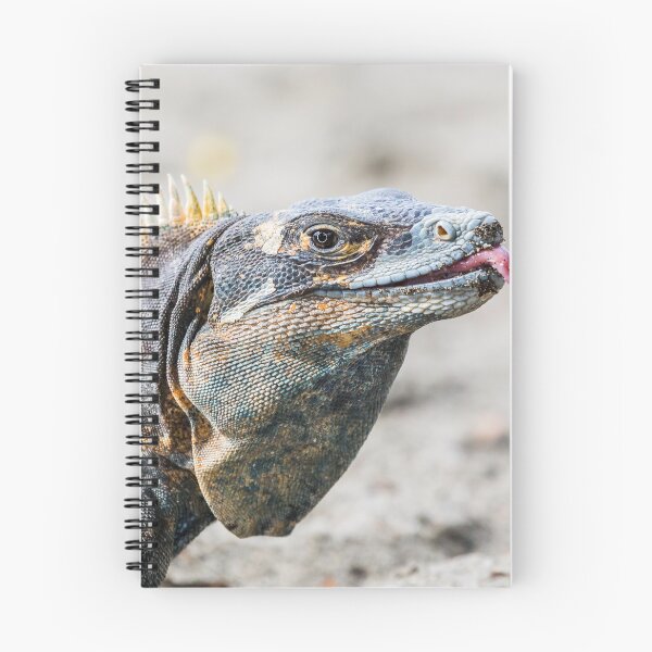 Item preview, Black iguana with its tongue out designed and sold by wellsie82.