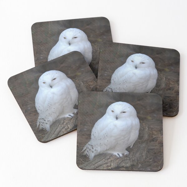 Item preview, Snowy Owl designed and sold by ReneeKennedy.