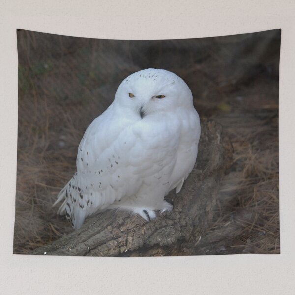 Item preview, Snowy Owl designed and sold by ReneeKennedy.