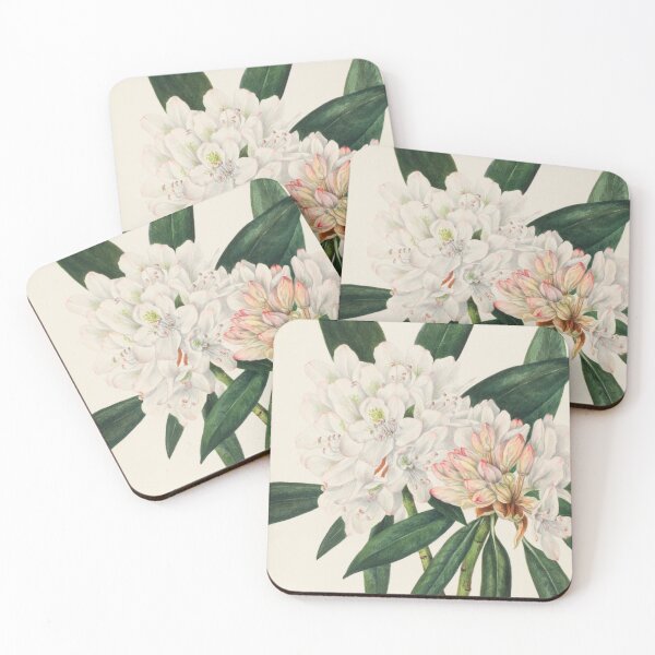 Item preview, Rosebay Rhododendron Vintage Botanical Print, Mary Vaux Walcott designed and sold by Vintage Wall Art.