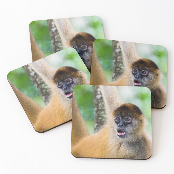 Item preview, Spider monkey gazing into the distance designed and sold by wellsie82.