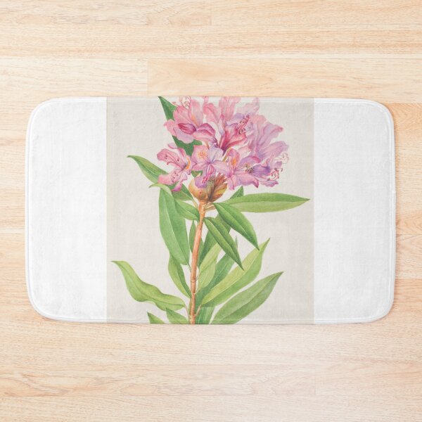 Item preview, California Rose Bay Rhododendron Botanical Print, Mary Vaux Walcott designed and sold by Vintage Wall Art.