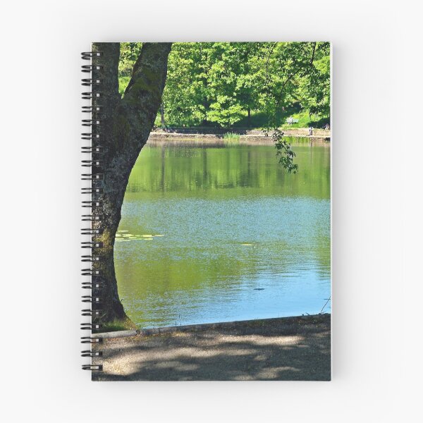 Item preview, Beside Llyn-y-Forwyn designed and sold by VikingVisual.