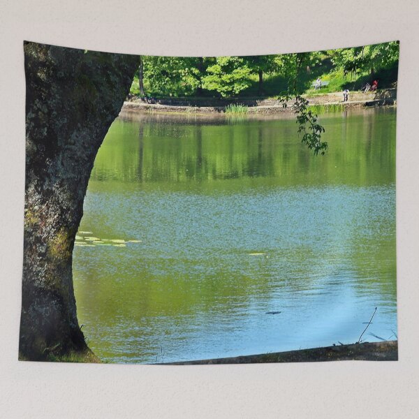Item preview, Beside Llyn-y-Forwyn designed and sold by VikingVisual.