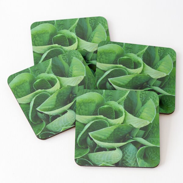 Item preview, Green hosta leaves designed and sold by perlphoto.