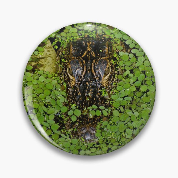 Item preview, Chill Gator designed and sold by DretographyFL.