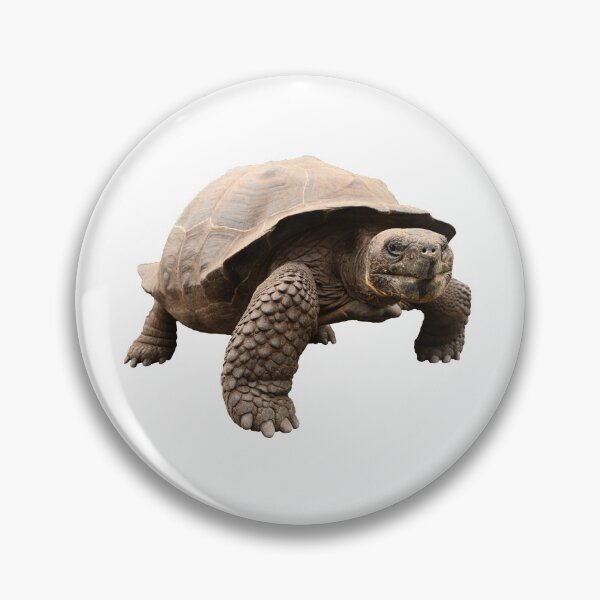 Item preview, Galapagos Tortoise designed and sold by Samvara.