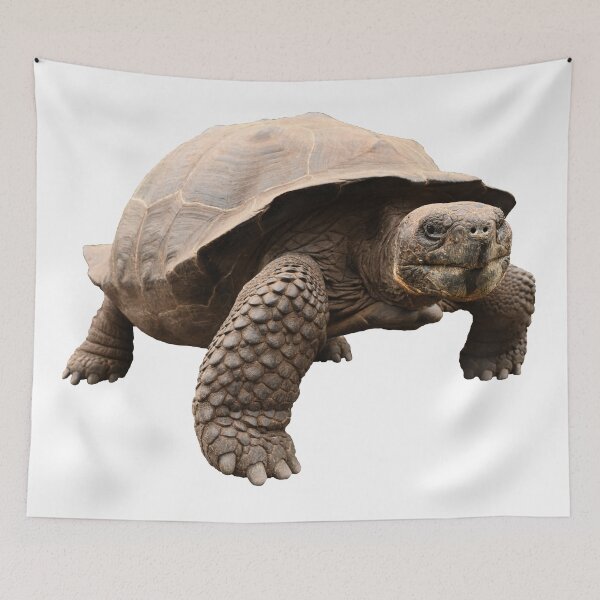 Item preview, Galapagos Tortoise designed and sold by Samvara.