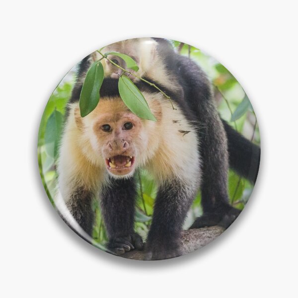 Item preview, White faced capuchin with its baby designed and sold by wellsie82.