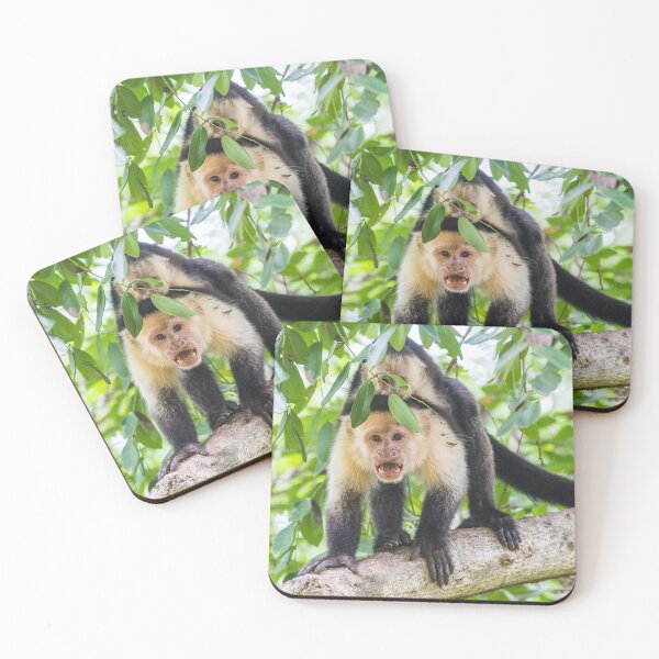 Item preview, White faced capuchin with its baby designed and sold by wellsie82.
