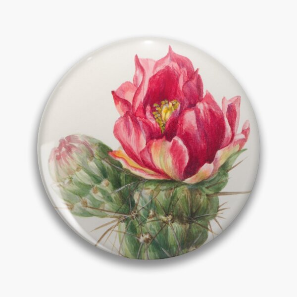 Item preview, Walkingstick Cholla Cactus Watercolor, Mary Vaux Walcott designed and sold by Vintage Wall Art.