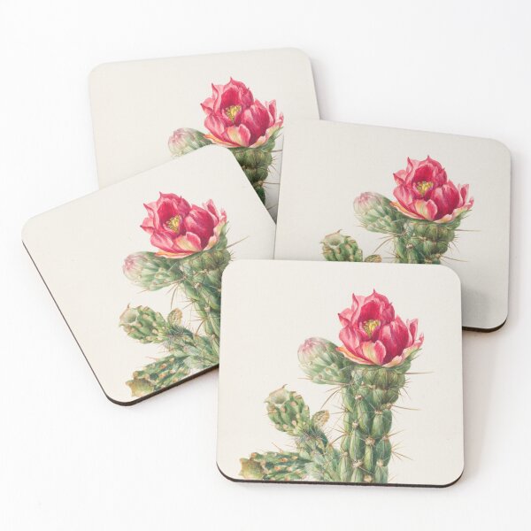Item preview, Walkingstick Cholla Cactus Watercolor, Mary Vaux Walcott designed and sold by Vintage Wall Art.