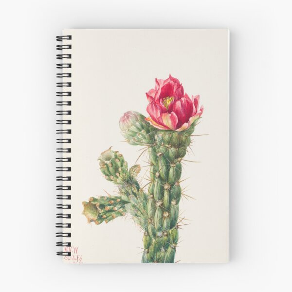 Item preview, Walkingstick Cholla Cactus Watercolor, Mary Vaux Walcott designed and sold by Vintage Wall Art.