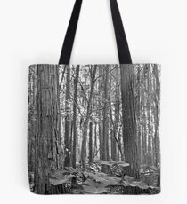 Oak and Caladium. Shingle Creek. Tote Bag