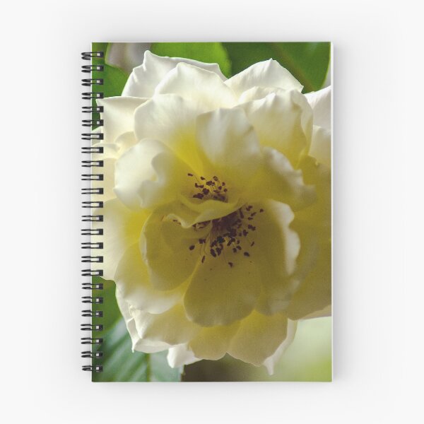 Item preview, A Rose for Veterans' Day designed and sold by Bryan Spellman.