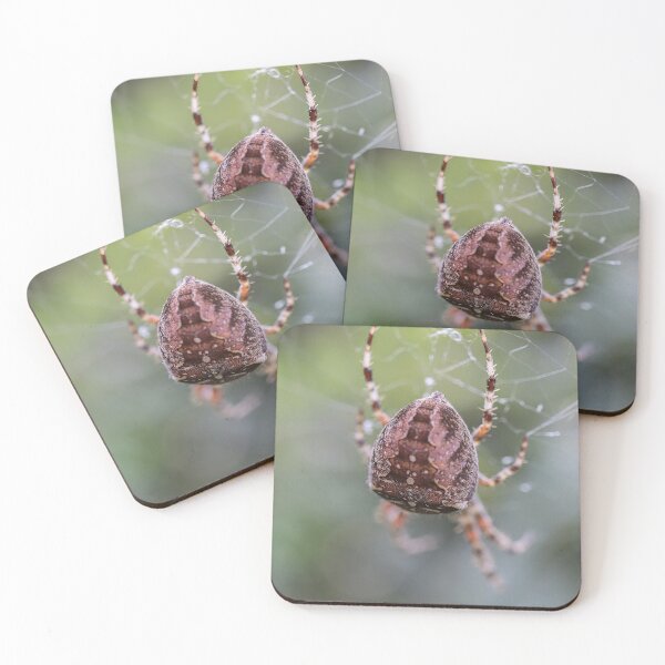 Item preview, Cross Spider Macro 3 - Cute Spiders Gifts designed and sold by r-silver.