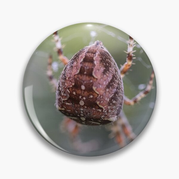 Item preview, Cross Spider Macro 3 - Cute Spiders Gifts designed and sold by r-silver.