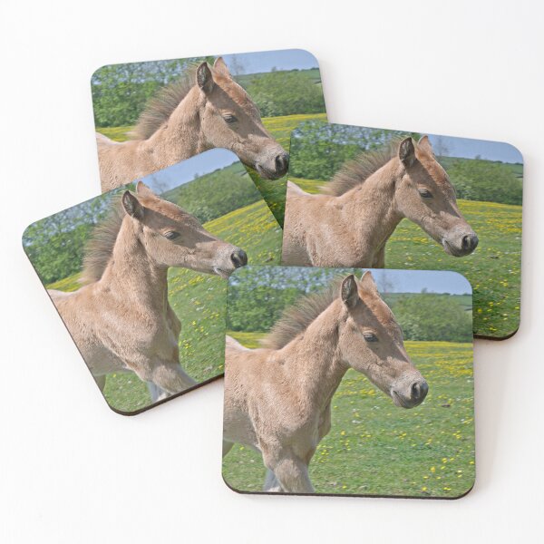 Item preview, Curious Colt designed and sold by VikingVisual.