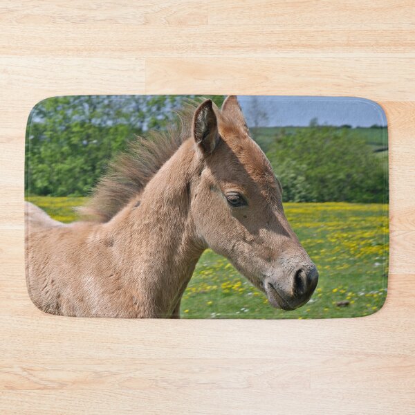 Item preview, Curious Colt designed and sold by VikingVisual.