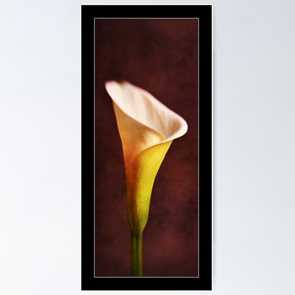 Item preview, Lily designed and sold by Malcolm Heberle.