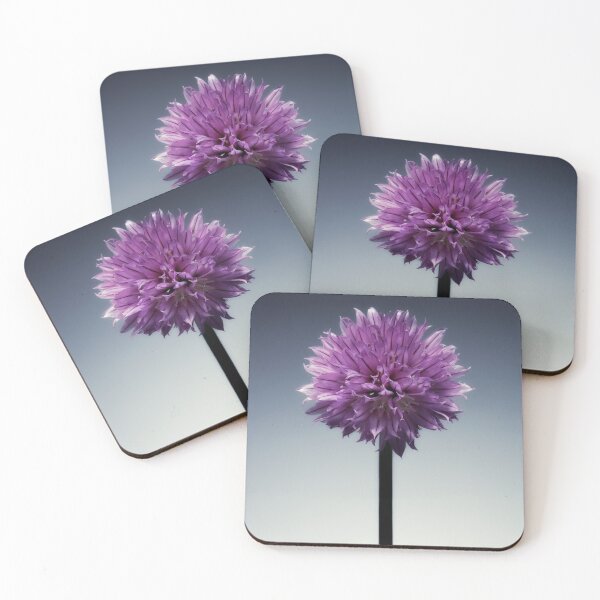 Item preview, Single flowering Chive herb, on grad tint. designed and sold by Phillip Thornton.