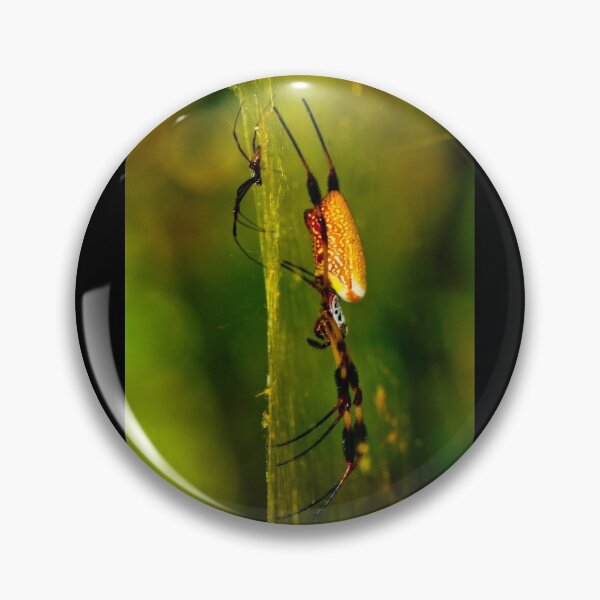 Item preview, Banana Spider and Her Mate designed and sold by DretographyFL.