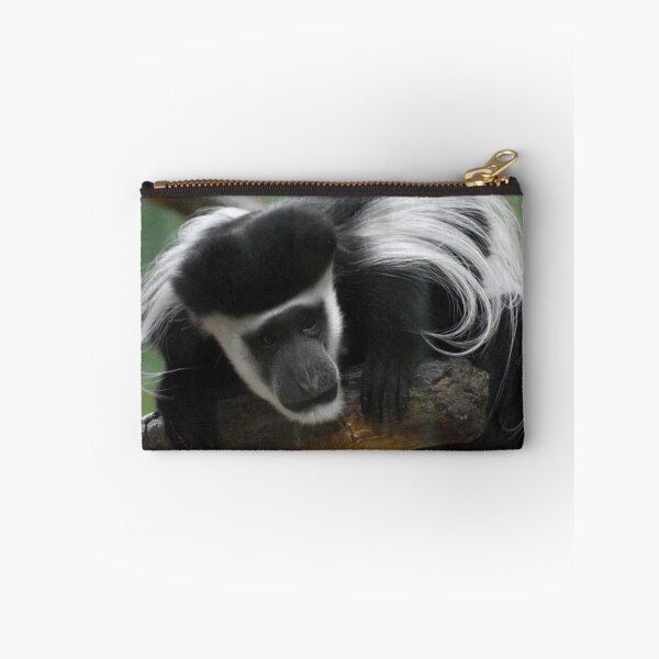Item preview, Colobus Monkey at the Maryland Zoo designed and sold by Zoo and Nature Photography by Karie.