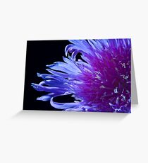 Stoke's Aster Greeting Card