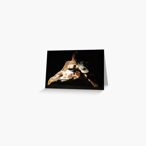 Item preview, Giraffe at the Maryland Zoo designed and sold by Zoo and Nature Photography by Karie.