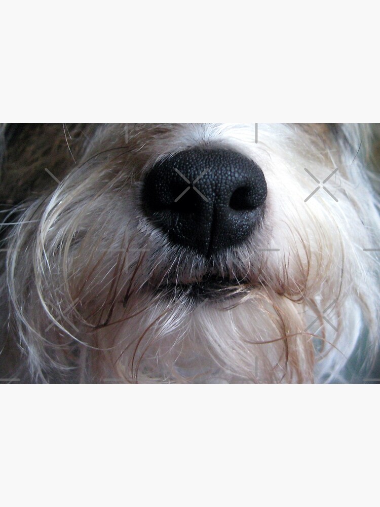 "Dog nose" Mask for Sale by Asrais Redbubble