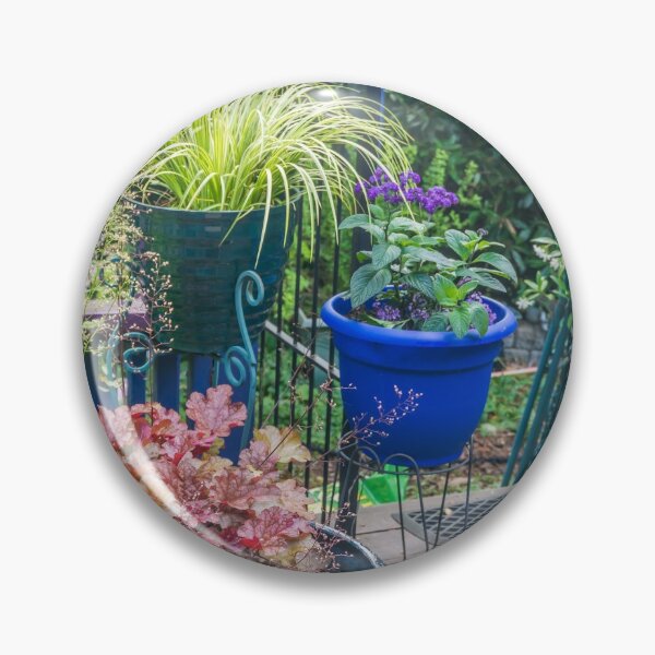 Item preview, Front Porch Plants designed and sold by georgecolephoto.
