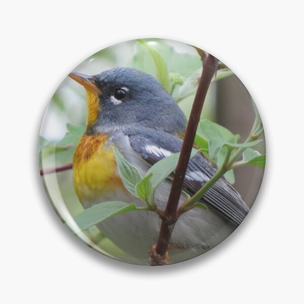 Item preview, Northern Parula designed and sold by Zoo and Nature Photography by Karie.