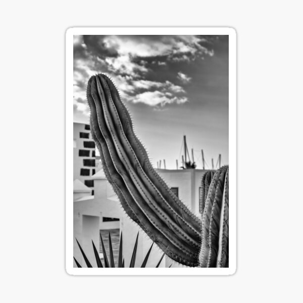 Item preview, Cactus arm designed and sold by iCimages.net.