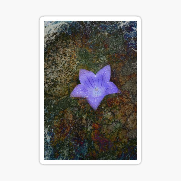 Blue Flower Bowl in a Rock Sticker