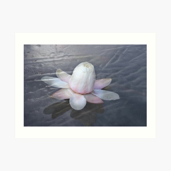 The Memory of the Summer Art Print
