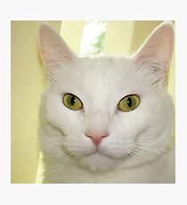 Casper Photographic Print