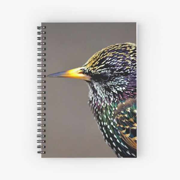 Just too beautiful Spiral Notebook