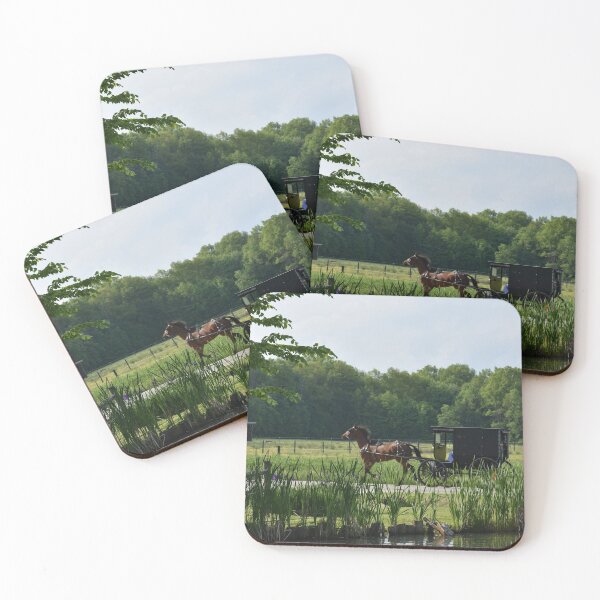 Item preview, Amish Country Ride designed and sold by dealchica.